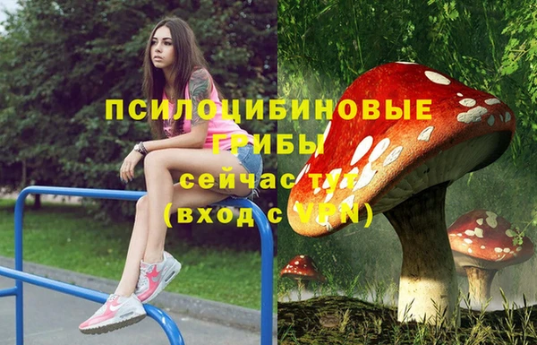 спиды Тихорецк