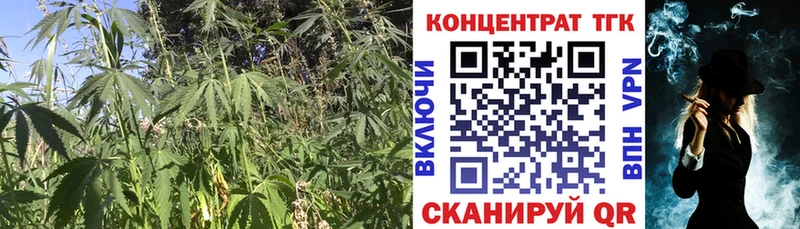 Дистиллят ТГК концентрат  цена   Новосокольники 