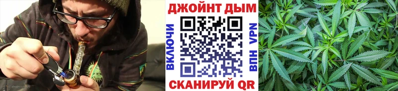 Канабис семена  блэк спрут сайт  Новосокольники 